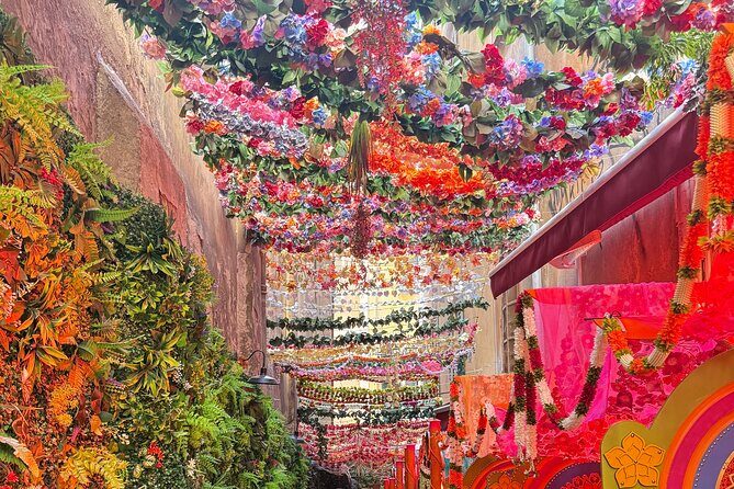 Old Nice: 800 years of a carnival DE l'Histoire - Authentic Voice from the Reviews