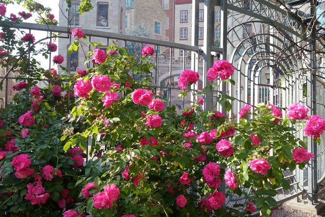 Old Quebec City Private Walking Tour : History and Nature - FAQ