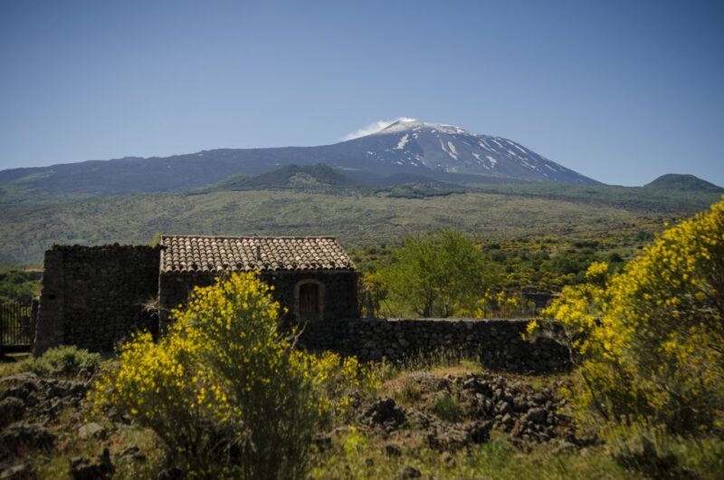 Old Sicily and Etna wine tasting tour from Taormina - Key Points