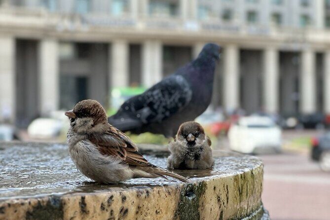 Old Town Tbilisi: Walking Tour & Wine Tasting with a Local Guide - FAQs