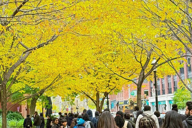 Old Town Toronto and Saint Lawrence Market Walking Tour - FAQ