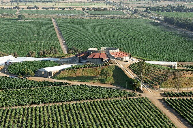 Old Wine Route Tour Experience at Baja California. ALL INCLUSIVE! - Cost and Value: Is it Worth It?