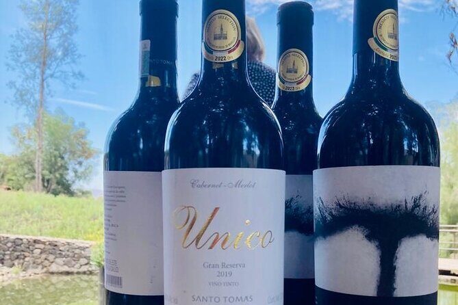 Old Wine Route Tour Experience at Baja California. ALL INCLUSIVE! - Practical Tips for Booking and Enjoying the Tour