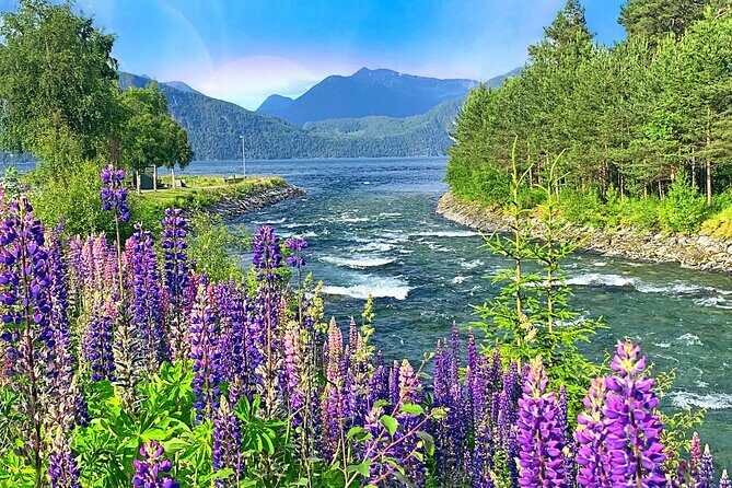 Olden Private Shore Excursion Briksdal Glacier and SkyLift Loen - Who Is This Tour Best Suited For?