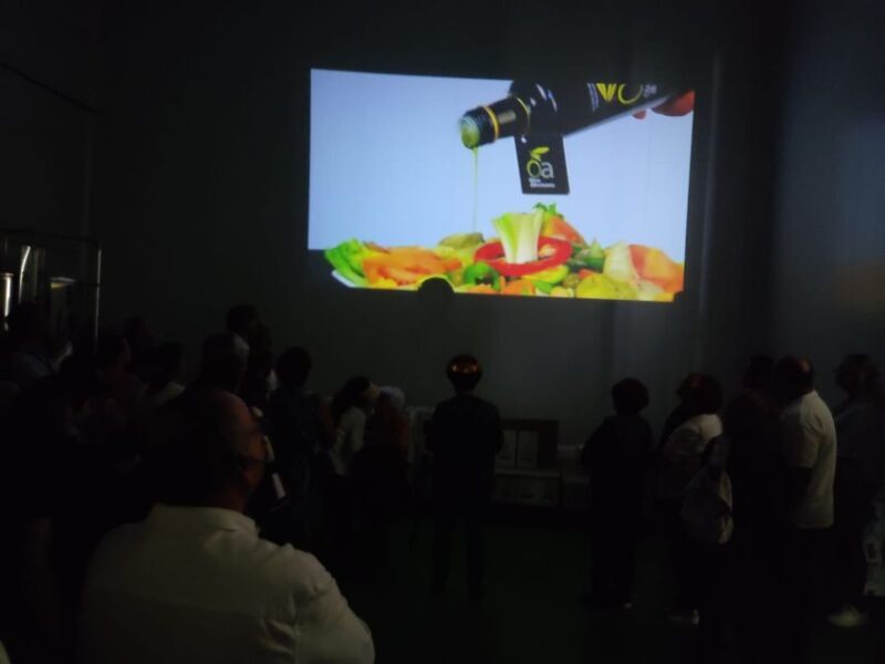 OleoAlmanzora: Guided tour olive groves and EVOO facilities - Exploring the Olive Grove and EVOO Facilities with OleoAlmanzora