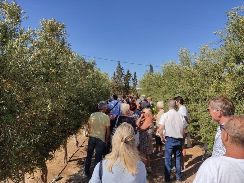 OleoAlmanzora: Guided tour olive groves and EVOO facilities - Key Points