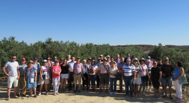 OleoAlmanzora: Guided tour & tasting + Pulpí Geode (6-hours) - Final thoughts