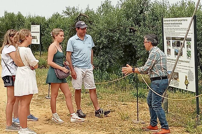 Oleotourism and olive oil tasting in Seville - Private tour - Exploring the Olive Oil Heritage of Seville: A Review of the Private Oleotourism and Olive Oil Tasting Tour