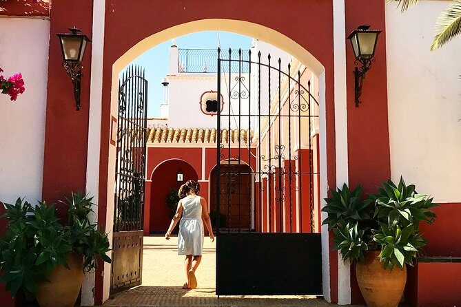 Oleotourism and olive oil tasting in Seville - Private tour - Key Points