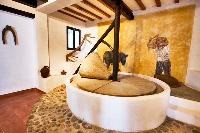 Oleotourism and olive oil tasting in Seville - Private tour - Pricing and Value