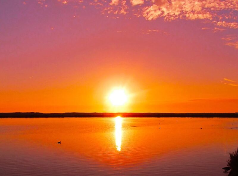 Olhão: 3-Hour Ria Formosa Boat Tour - The Price and Value