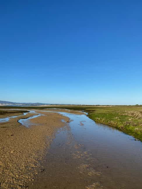 Olhão: Beautiful Exclusive Route: Private Boat Rental with Skipper - Key Points