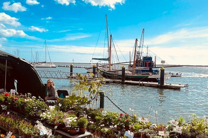 Olhão Fish Market & Food Tour - What to Expect from the Olhão Fish Market & Food Tour