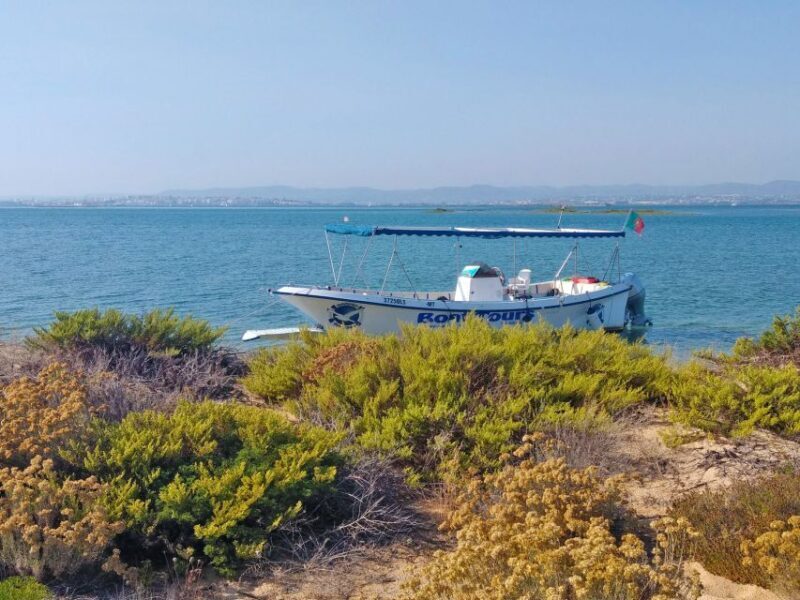 Olhão: Private Boat Tour to Ria Formosa - Value and Who Should Consider This Tour