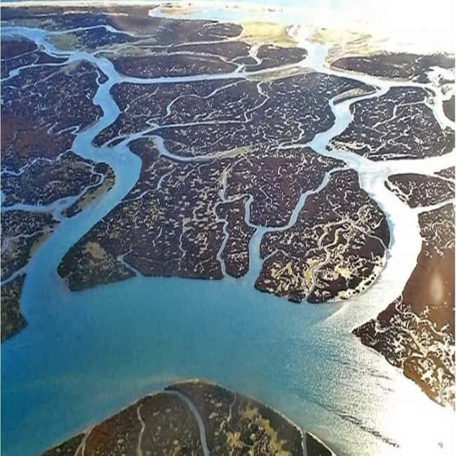 Olhão: Ria Formosa 2 Islands Boat Tour - What the Reviews Say