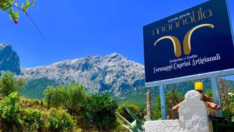 Oliena: Goat Cheese Tasting - Who Should Consider This Experience?