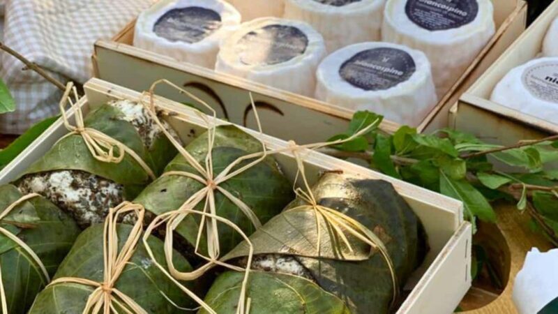 Oliena: Goat Cheese Tasting - Final Thoughts