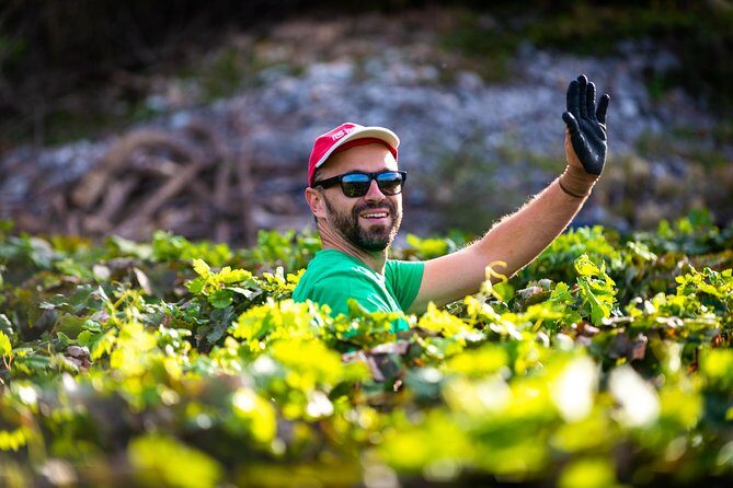 Olive farm & village - Final Thoughts