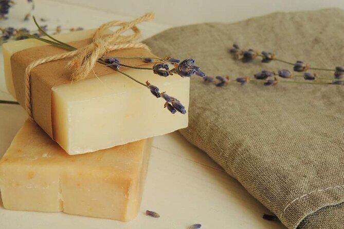 Olive harvest, visit to the oil mill and typical lunch - An In-Depth Look at the Olive Harvest Tour in Sicily