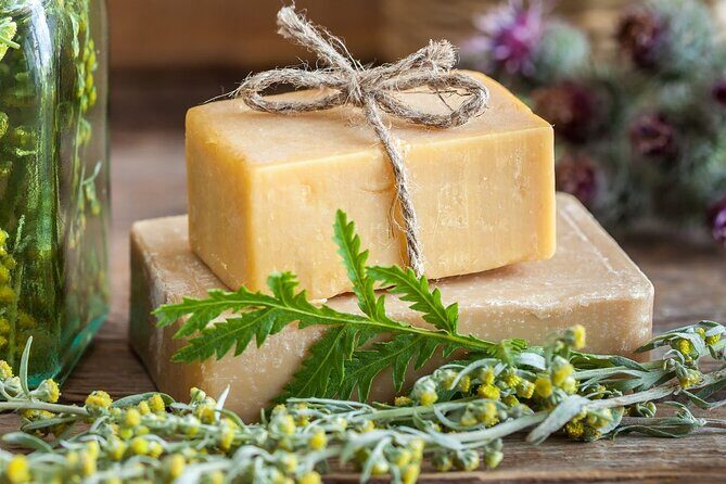 Olive harvest, visit to the oil mill and typical lunch - Who Is This Tour Best For?