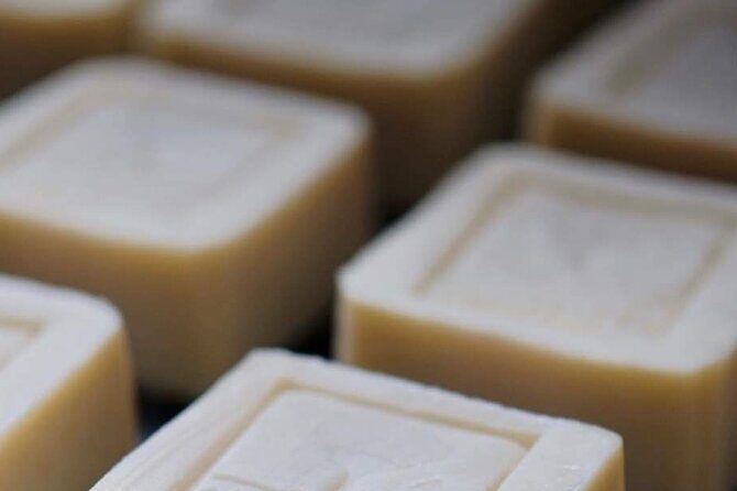 Olive harvest, visit to the oil mill and typical lunch - FAQs