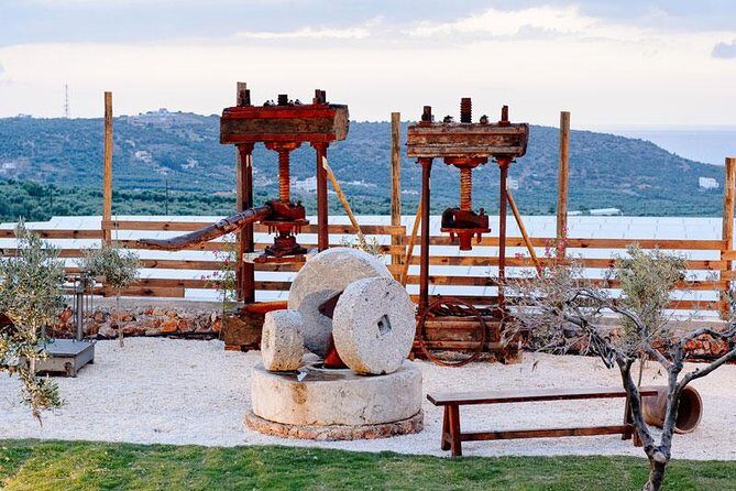 Olive Mill Festival - The Practical Side: Group Size, Price, and Logistics