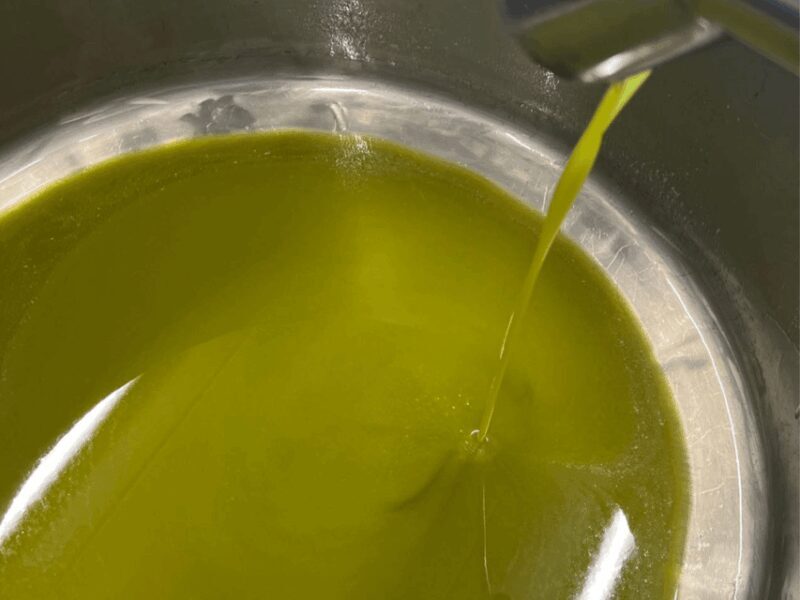 Olive Mill Tour and Tasting in the Padua Hills - Introduction