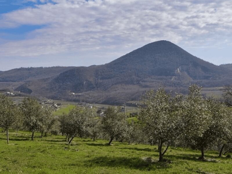 Olive Mill Tour and Tasting in the Padua Hills - Practical Tips and Considerations