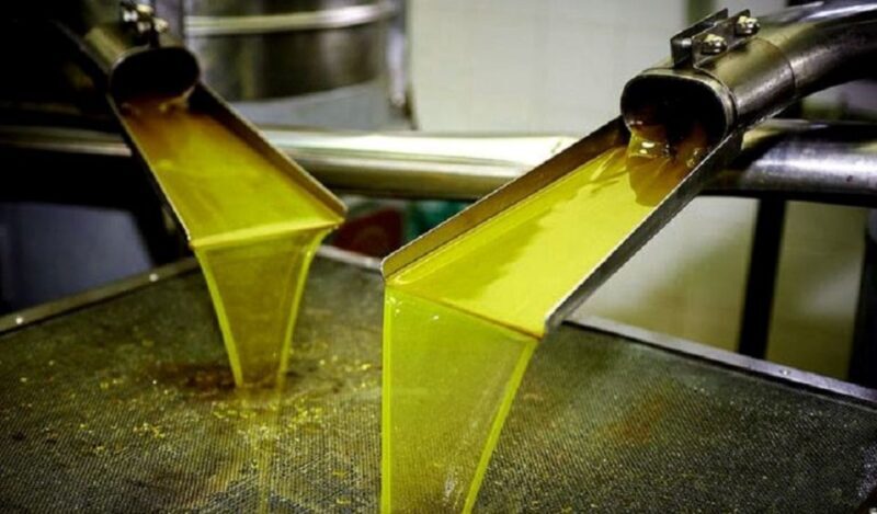 Olive Mill Visit & Olive oil Tasting 3-hour Trip Private - What’s Included and Whats Not