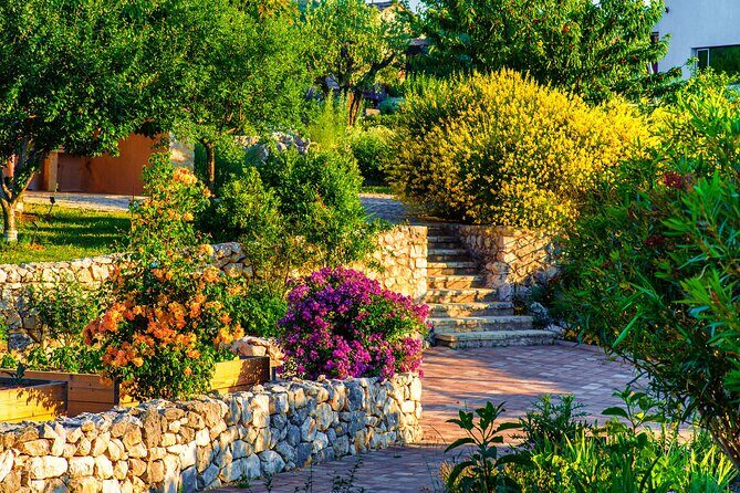 Olive museum Klis with educational olive oil tasting - Final Thoughts