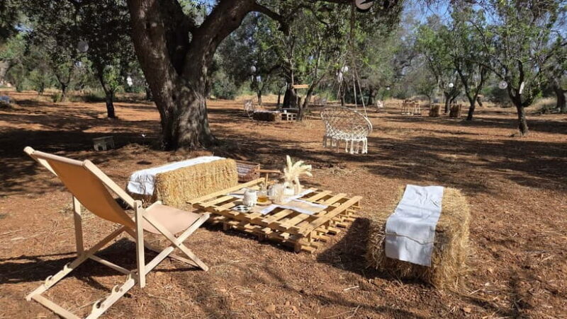 Olive Oil and almond Tour and Tasting: Brindisi, Ostuni - Practical Details & Considerations