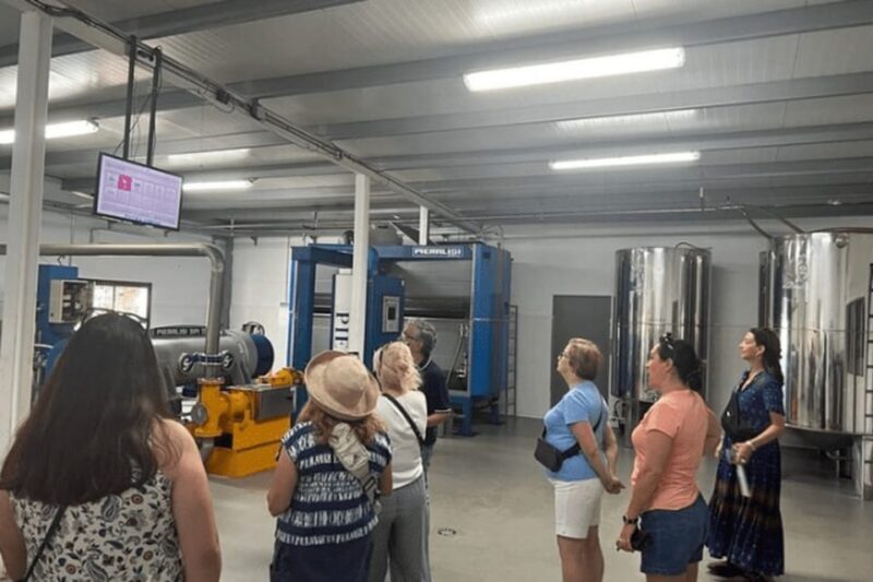 Olive Oil Factory from Sevilla Private Tour - Key Points