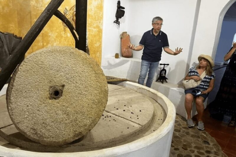 Olive Oil Factory from Sevilla Private Tour - Authentic Insights from Travelers