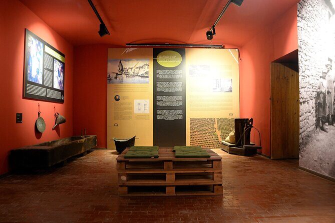 Olive Oil Guided Tasting and History in Pula - Whats the Value?