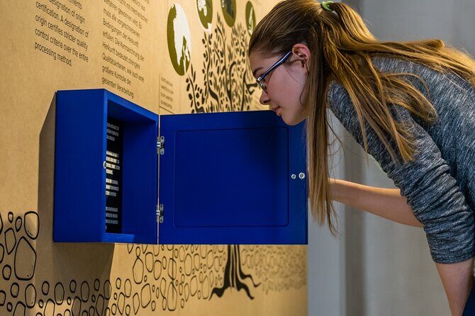 Olive Oil Guided Tasting and History in Pula - Final Thoughts