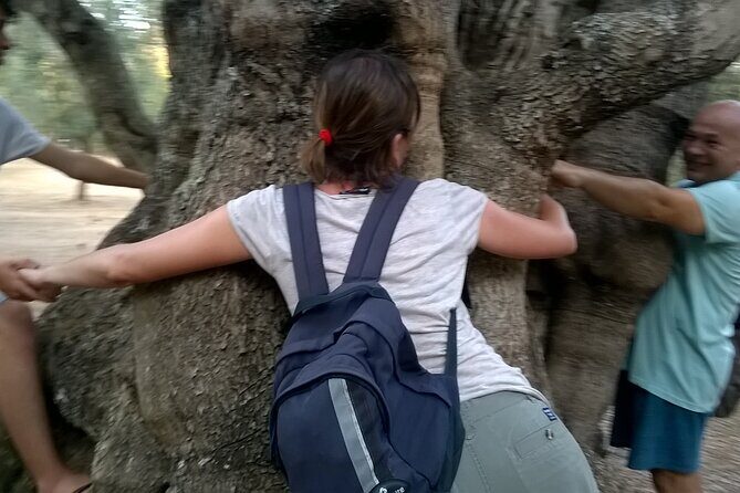 Olive Oil Mill experience and tasting in Salento with Guide - An In-Depth Look at the Olive Oil Mill Tour