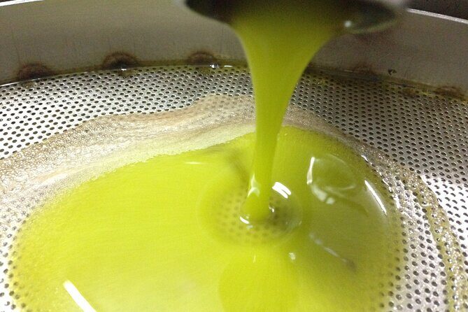 Olive Oil Mill experience and tasting in Salento with Guide - Final Thoughts: Is This Tour Right for You?