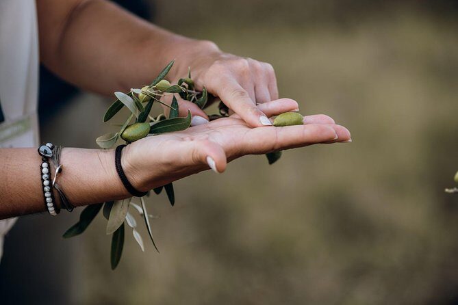 Olive oil Mill Visit-Kalamata Olives and Olive oil Tasting - Frequently Asked Questions
