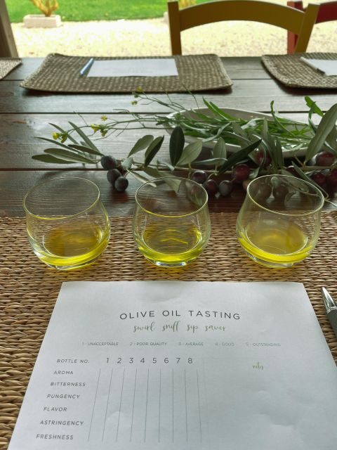 Olive oil tasting and olive grove walking tour - The Cost and What You Get