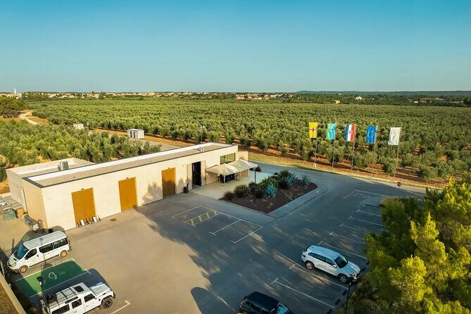 Olive Oil Tasting and Sunset Buggy Tour with Your Local Guide - The Olive Oil Tasting at Oio Vivo