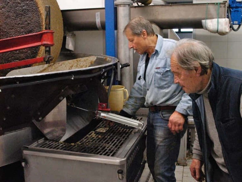 Olive Oil Tasting and Visit at Lake Como - A Closer Look at the Olive Oil Tasting Experience