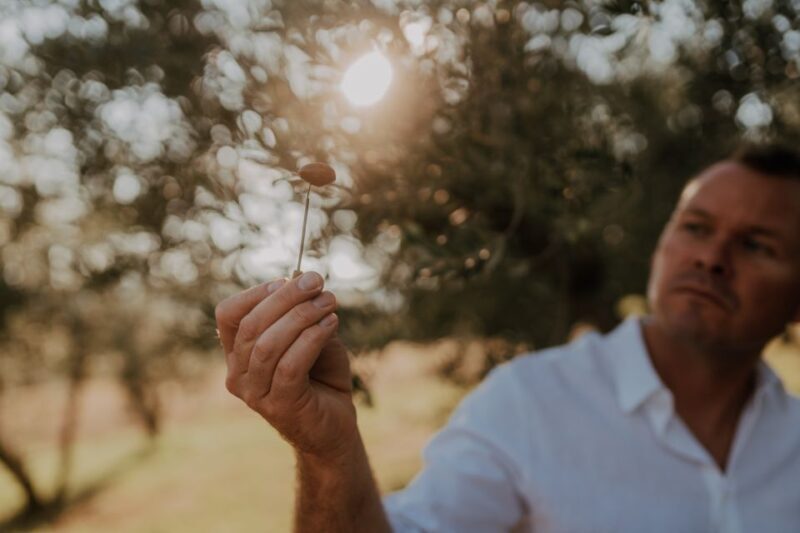 Olive Oil Tasting Experience a Journey of Flavors and Aromas - How to Get There and Practical Tips