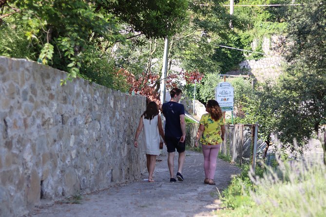 Olive oil tasting in Sorrento - Olive Oil Tasting in Sorrento: What this tour actually feels like