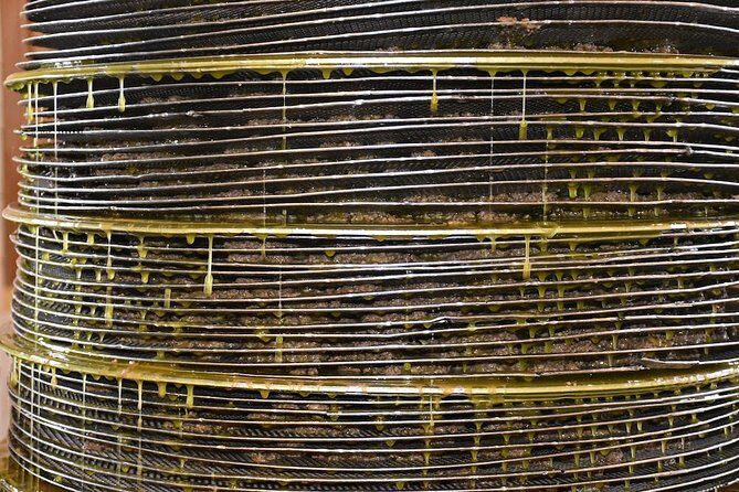 Olive Oil Tasting Tour - Final thoughts