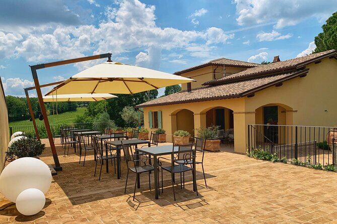 Olive oil tasting with oil mill tour in Umbria. - Exploring Olive Oil Tasting & Oil Mill Tour in Umbria: A Down-to-Earth Review