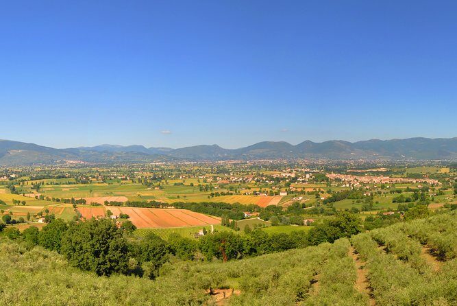Olive oil tasting with oil mill tour in Umbria. - Who Is This Tour Perfect For?