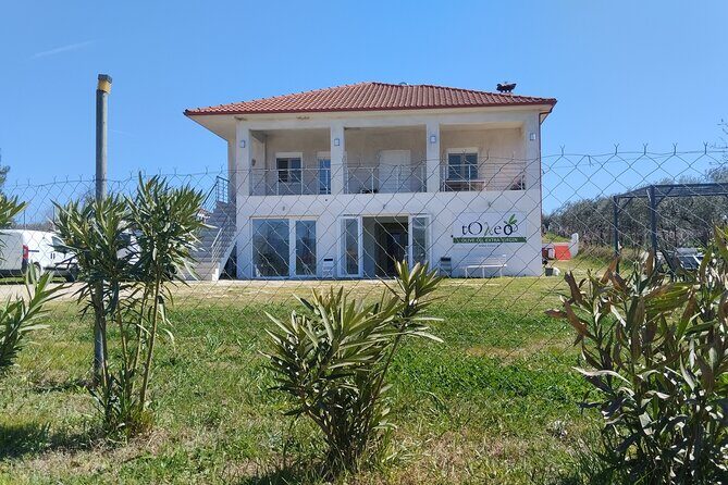 Olive oil tasting with seminar in Metagitsi - Halkidiki - Key Points