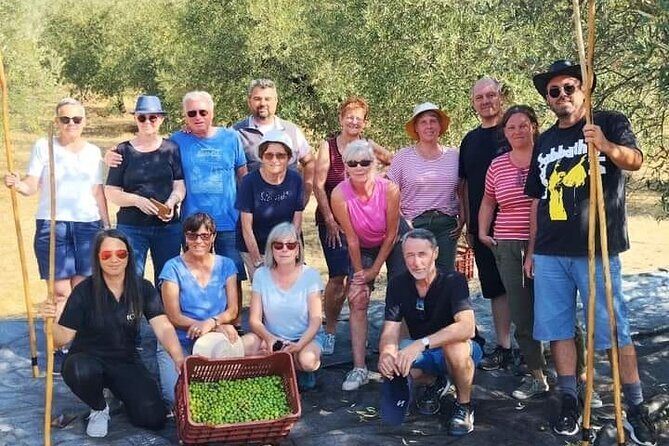 Olive oil tasting with seminar in Metagitsi - Halkidiki - The Group Size and Practicalities