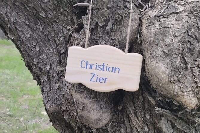 Olive oil tasting with seminar in Metagitsi - Halkidiki - Who Should Consider This Tour?