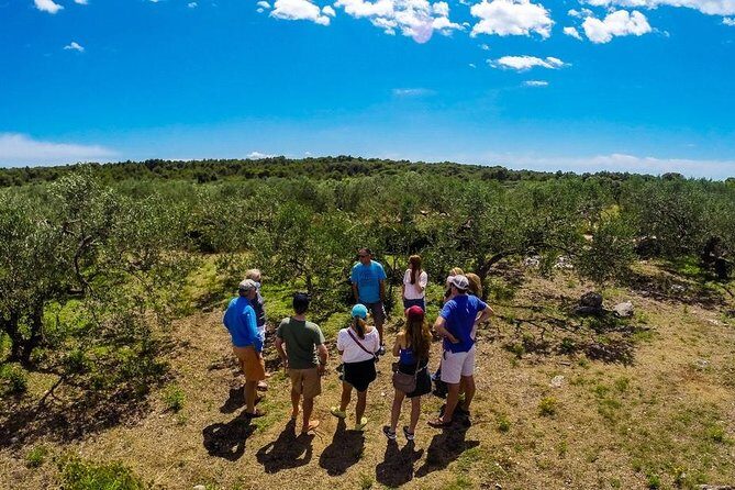 Olive Oil Tour of Solta Island with Lunch - Key Points
